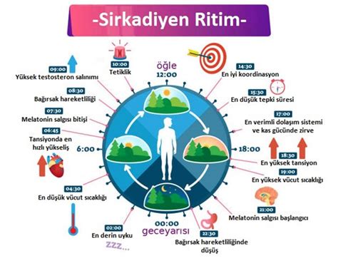  Weak ile Kendinizi Dönüştürücü Ritim ve Duygusallığın Kıyasıya Mücadelesine Hazır Olun